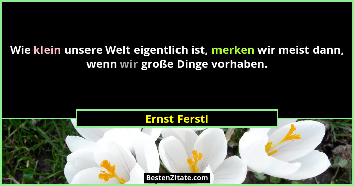 Wie klein unsere Welt eigentlich ist, merken wir meist dann, wenn wir große Dinge vorhaben.... - Ernst Ferstl