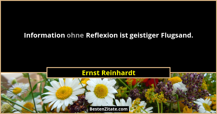Information ohne Reflexion ist geistiger Flugsand.... - Ernst Reinhardt