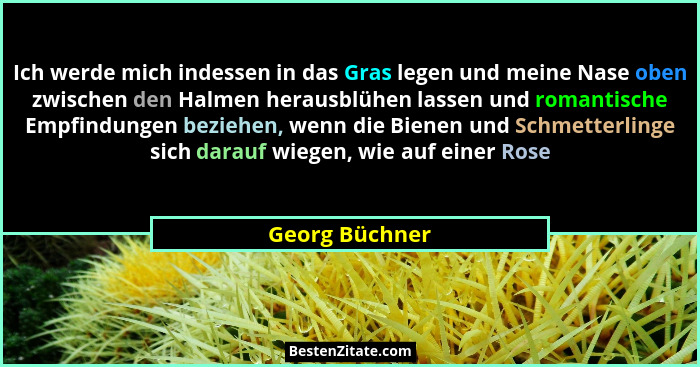 Ich werde mich indessen in das Gras legen und meine Nase oben zwischen den Halmen herausblühen lassen und romantische Empfindungen bez... - Georg Büchner