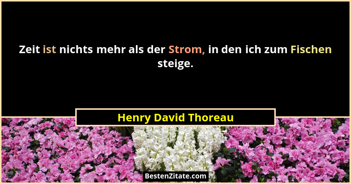 Zeit ist nichts mehr als der Strom, in den ich zum Fischen steige.... - Henry David Thoreau