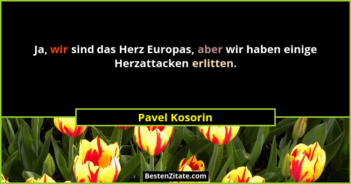 Ja, wir sind das Herz Europas, aber wir haben einige Herzattacken erlitten.... - Pavel Kosorin