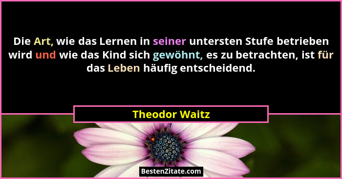 Die Art, wie das Lernen in seiner untersten Stufe betrieben wird und wie das Kind sich gewöhnt, es zu betrachten, ist für das Leben hä... - Theodor Waitz