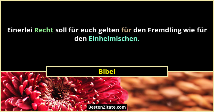 Einerlei Recht soll für euch gelten für den Fremdling wie für den Einheimischen.... - Bibel
