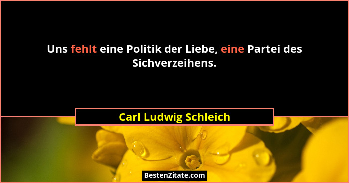 Uns fehlt eine Politik der Liebe, eine Partei des Sichverzeihens.... - Carl Ludwig Schleich