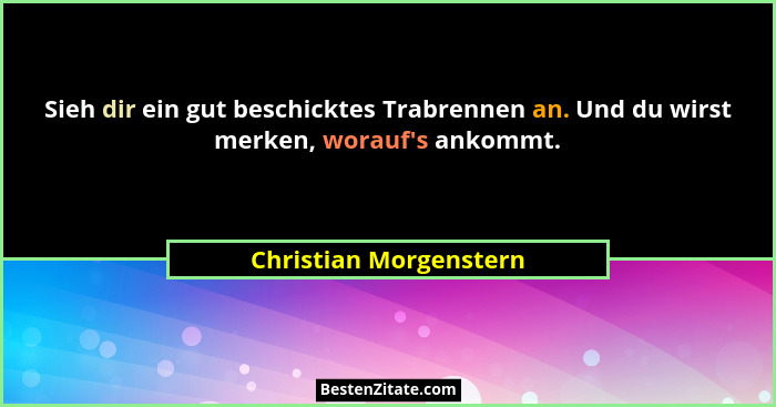 Sieh dir ein gut beschicktes Trabrennen an. Und du wirst merken, worauf's ankommt.... - Christian Morgenstern