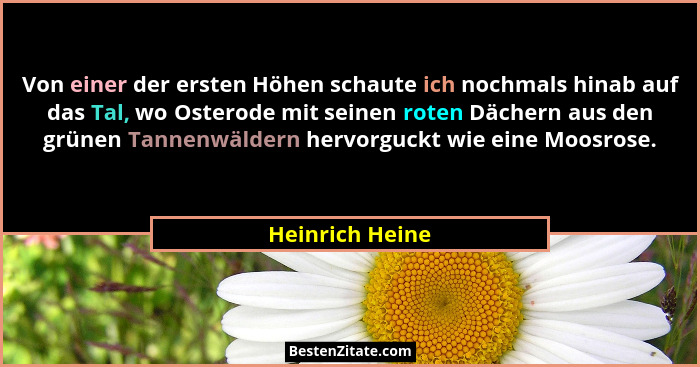 Von einer der ersten Höhen schaute ich nochmals hinab auf das Tal, wo Osterode mit seinen roten Dächern aus den grünen Tannenwäldern... - Heinrich Heine