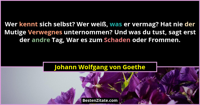 Wer kennt sich selbst? Wer weiß, was er vermag? Hat nie der Mutige Verwegnes unternommen? Und was du tust, sagt erst der... - Johann Wolfgang von Goethe