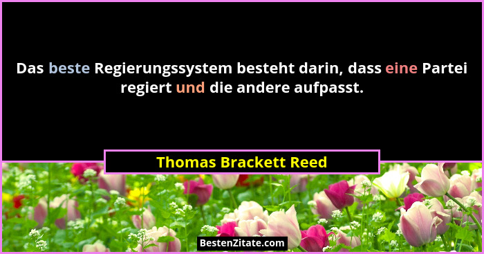 Das beste Regierungssystem besteht darin, dass eine Partei regiert und die andere aufpasst.... - Thomas Brackett Reed