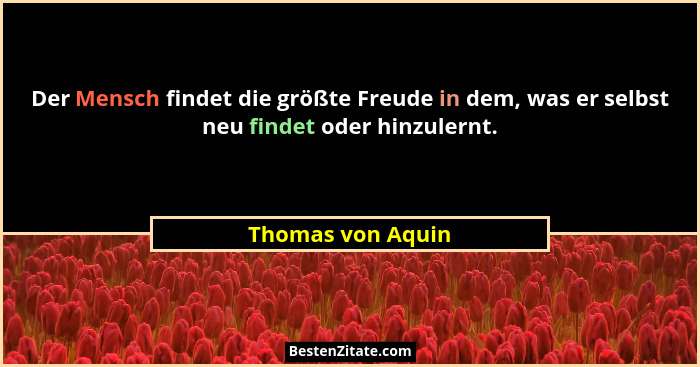 Der Mensch findet die größte Freude in dem, was er selbst neu findet oder hinzulernt.... - Thomas von Aquin