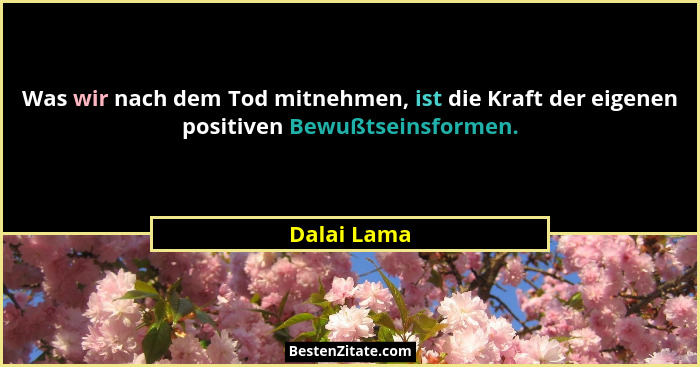Was wir nach dem Tod mitnehmen, ist die Kraft der eigenen positiven Bewußtseinsformen.... - Dalai Lama