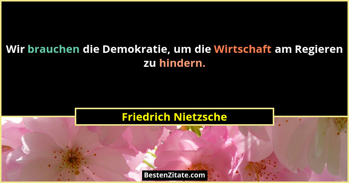 Wir brauchen die Demokratie, um die Wirtschaft am Regieren zu hindern.... - Friedrich Nietzsche