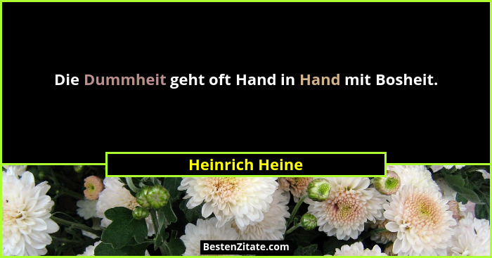 Die Dummheit geht oft Hand in Hand mit Bosheit.... - Heinrich Heine