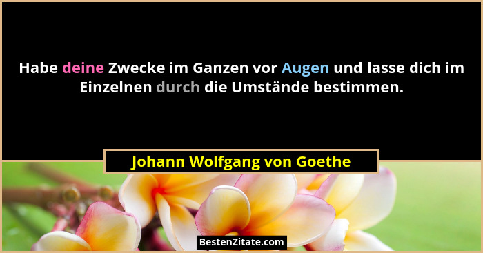 Habe deine Zwecke im Ganzen vor Augen und lasse dich im Einzelnen durch die Umstände bestimmen.... - Johann Wolfgang von Goethe