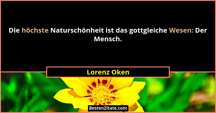 Die höchste Naturschönheit ist das gottgleiche Wesen: Der Mensch.... - Lorenz Oken