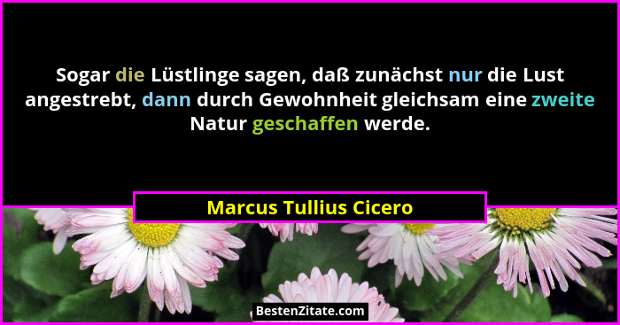 Sogar die Lüstlinge sagen, daß zunächst nur die Lust angestrebt, dann durch Gewohnheit gleichsam eine zweite Natur geschaffen... - Marcus Tullius Cicero