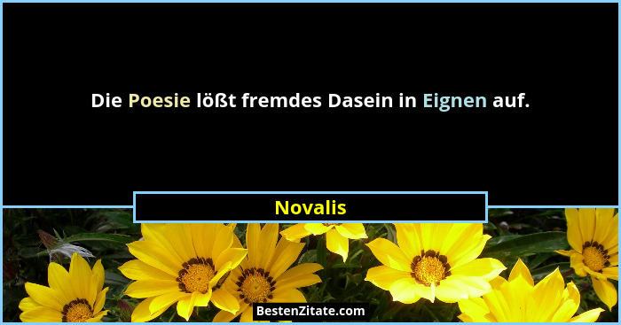 Die Poesie lößt fremdes Dasein in Eignen auf.... - Novalis