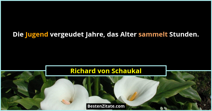 Die Jugend vergeudet Jahre, das Alter sammelt Stunden.... - Richard von Schaukal