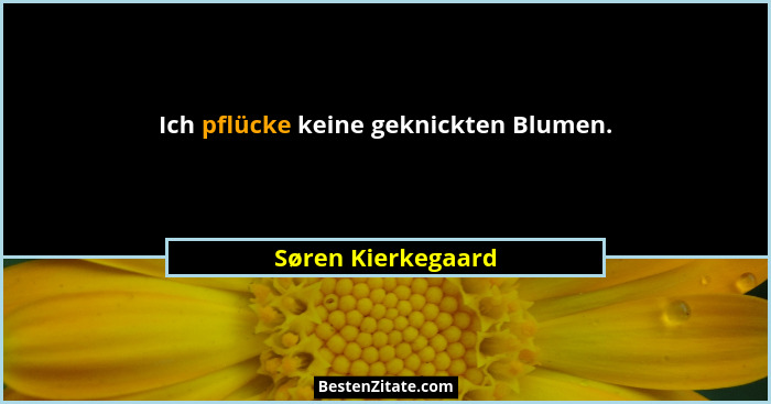 Ich pflücke keine geknickten Blumen.... - Søren Kierkegaard