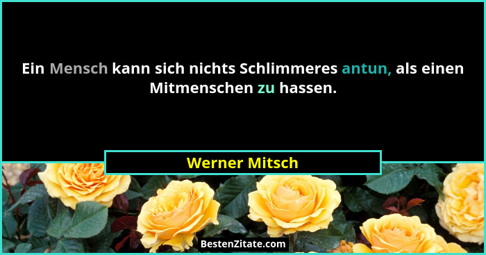 Ein Mensch kann sich nichts Schlimmeres antun, als einen Mitmenschen zu hassen.... - Werner Mitsch
