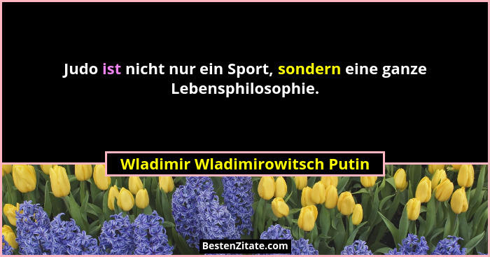 Judo ist nicht nur ein Sport, sondern eine ganze Lebensphilosophie.... - Wladimir Wladimirowitsch Putin