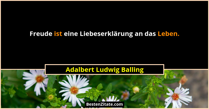 Freude ist eine Liebeserklärung an das Leben.... - Adalbert Ludwig Balling