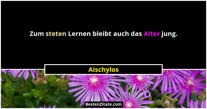 Zum steten Lernen bleibt auch das Alter jung.... - Aischylos