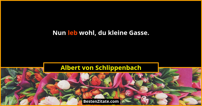 Nun leb wohl, du kleine Gasse.... - Albert von Schlippenbach