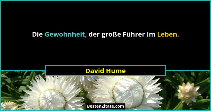 Die Gewohnheit, der große Führer im Leben.... - David Hume