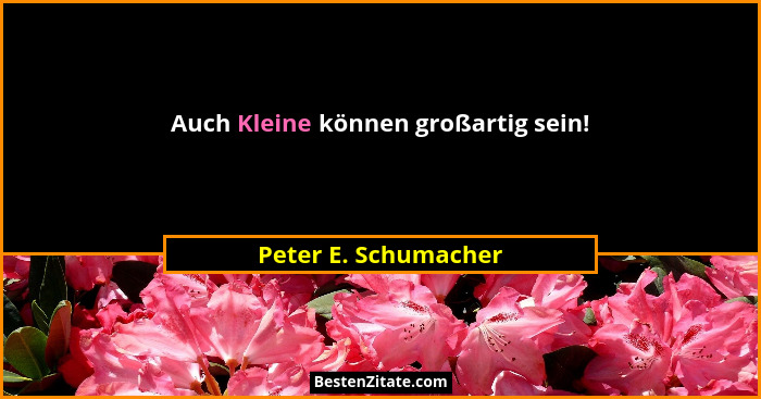 Auch Kleine können großartig sein!... - Peter E. Schumacher