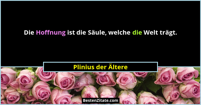 Die Hoffnung ist die Säule, welche die Welt trägt.... - Plinius der Ältere