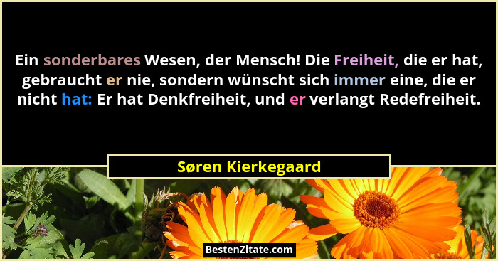 Ein sonderbares Wesen, der Mensch! Die Freiheit, die er hat, gebraucht er nie, sondern wünscht sich immer eine, die er nicht hat:... - Søren Kierkegaard