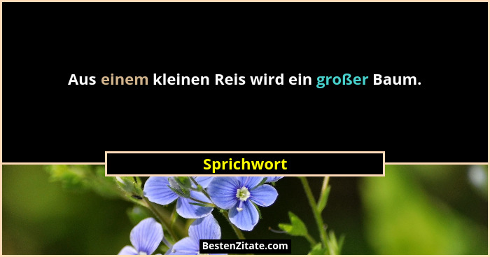 Aus einem kleinen Reis wird ein großer Baum.... - Sprichwort