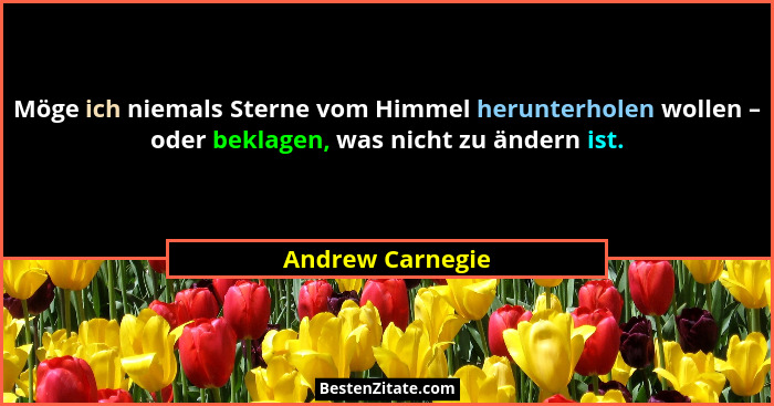 Möge ich niemals Sterne vom Himmel herunterholen wollen – oder beklagen, was nicht zu ändern ist.... - Andrew Carnegie