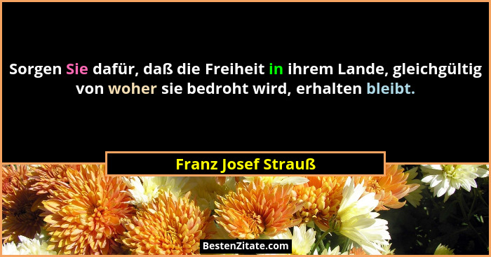 Sorgen Sie dafür, daß die Freiheit in ihrem Lande, gleichgültig von woher sie bedroht wird, erhalten bleibt.... - Franz Josef Strauß