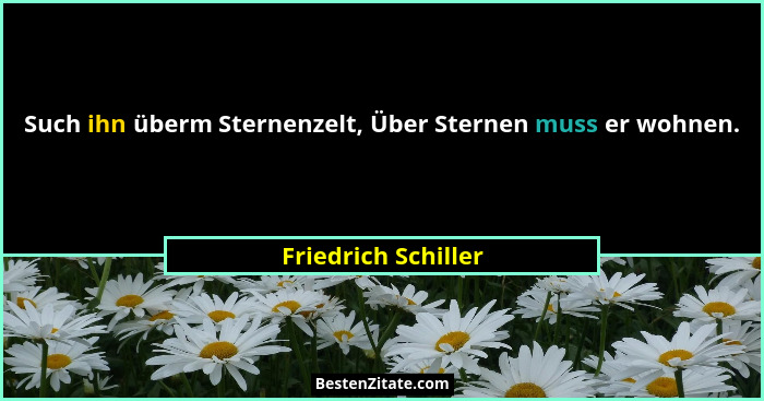 Such ihn überm Sternenzelt, Über Sternen muss er wohnen.... - Friedrich Schiller