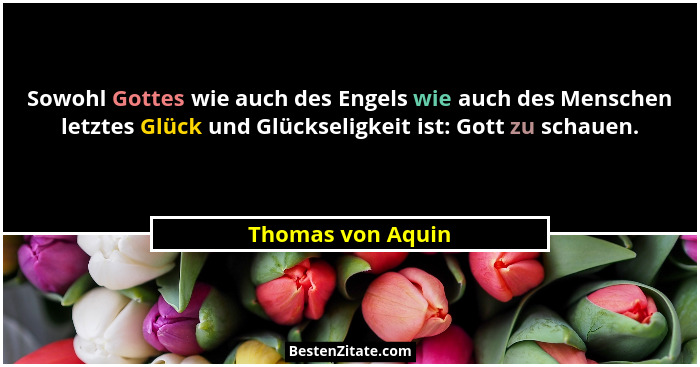 Sowohl Gottes wie auch des Engels wie auch des Menschen letztes Glück und Glückseligkeit ist: Gott zu schauen.... - Thomas von Aquin