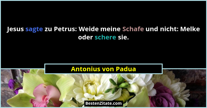 Jesus sagte zu Petrus: Weide meine Schafe und nicht: Melke oder schere sie.... - Antonius von Padua