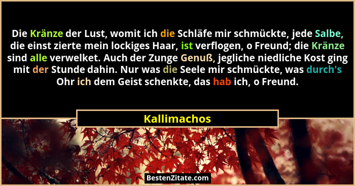 Die Kränze der Lust, womit ich die Schläfe mir schmückte, jede Salbe, die einst zierte mein lockiges Haar, ist verflogen, o Freund; die... - Kallimachos