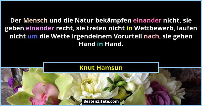 Der Mensch und die Natur bekämpfen einander nicht, sie geben einander recht, sie treten nicht in Wettbewerb, laufen nicht um die Wette i... - Knut Hamsun