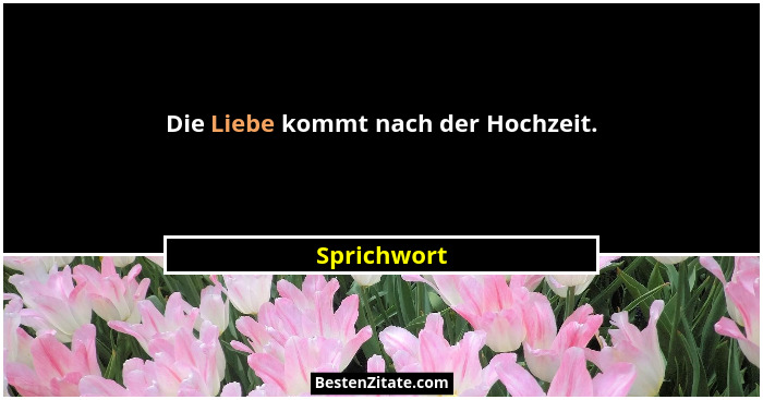 Die Liebe kommt nach der Hochzeit.... - Sprichwort