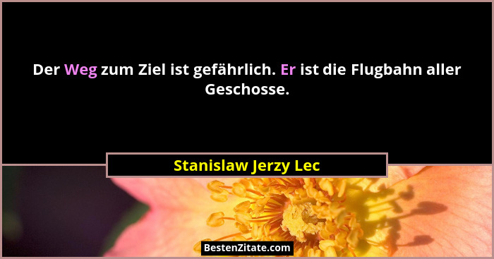 Der Weg zum Ziel ist gefährlich. Er ist die Flugbahn aller Geschosse.... - Stanislaw Jerzy Lec