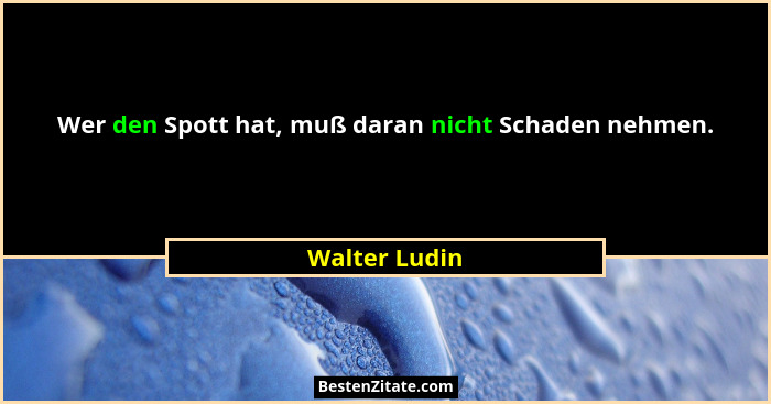 Wer den Spott hat, muß daran nicht Schaden nehmen.... - Walter Ludin
