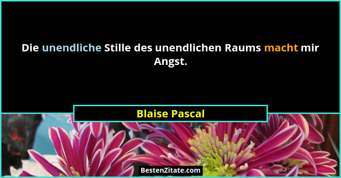 Die unendliche Stille des unendlichen Raums macht mir Angst.... - Blaise Pascal