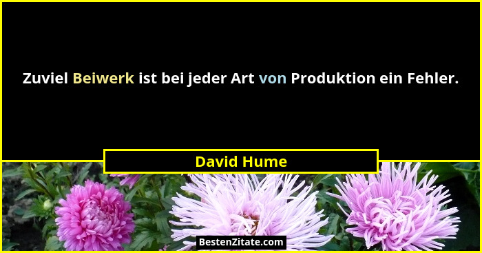 Zuviel Beiwerk ist bei jeder Art von Produktion ein Fehler.... - David Hume