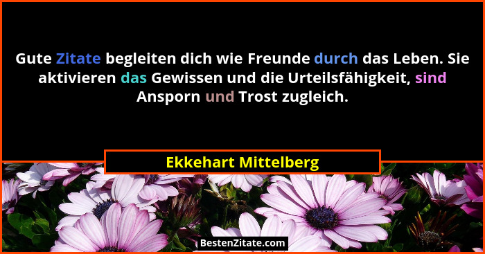Gute Zitate begleiten dich wie Freunde durch das Leben. Sie aktivieren das Gewissen und die Urteilsfähigkeit, sind Ansporn und T... - Ekkehart Mittelberg