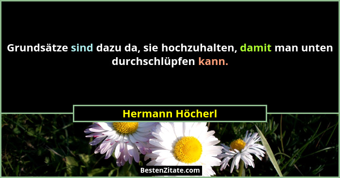 Grundsätze sind dazu da, sie hochzuhalten, damit man unten durchschlüpfen kann.... - Hermann Höcherl