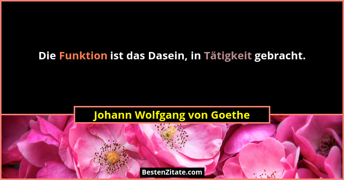 Die Funktion ist das Dasein, in Tätigkeit gebracht.... - Johann Wolfgang von Goethe