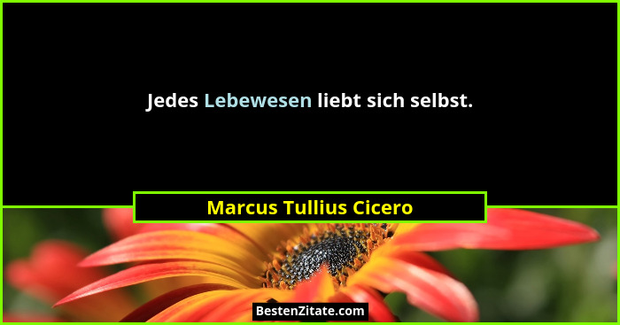 Jedes Lebewesen liebt sich selbst.... - Marcus Tullius Cicero