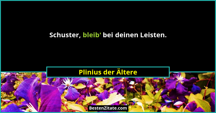 Schuster, bleib' bei deinen Leisten.... - Plinius der Ältere