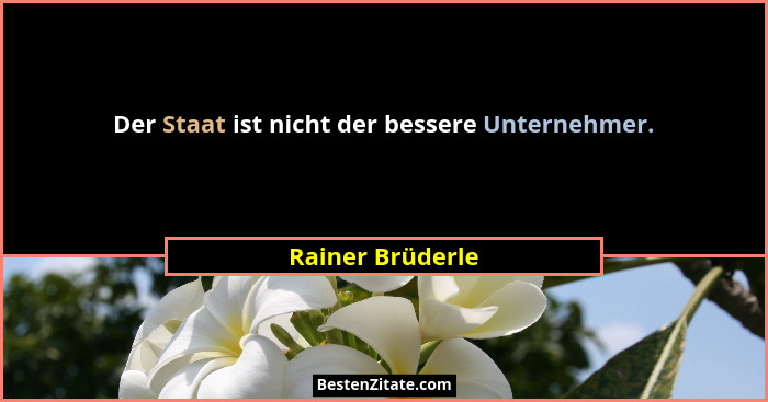 Der Staat ist nicht der bessere Unternehmer.... - Rainer Brüderle